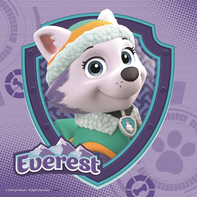 Ravensburger Puzzle-Box - Paw Patrol - Bezaubernde Hundemädchen - 3x 49 Teile - Image 2