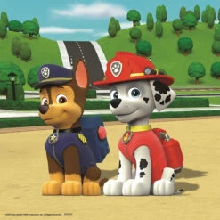 Ravensburger Puzzle-Box - Paw Patrol - Team Auf 4 Pfoten - 3x49 Teile -Asmodee Geschäft 09239 2